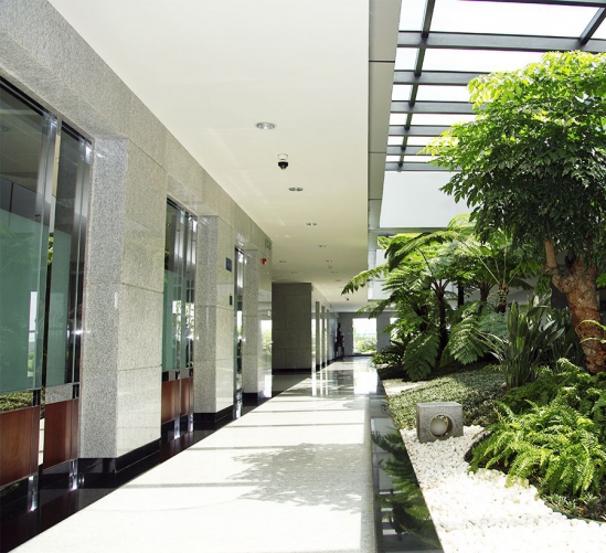 giới thiệu về chúng tôi